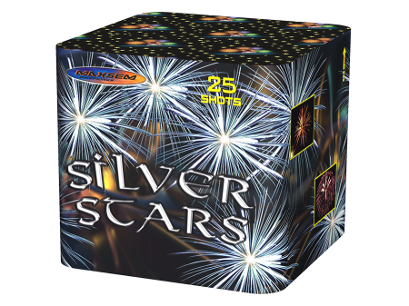 Батареи салютов в интернет-магазине Крут Салют Фейерверк SILVER STARS 25 залпов